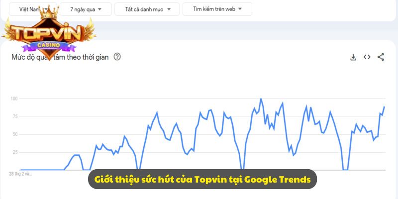 Giới thiệu sức hút của Topvin tại Google Trends